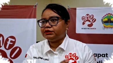 Lima Daerah Jawa Tengah Belum Punya Aturan Larangan Perdagangan Anjing-Kucing, Ini Daftarnya