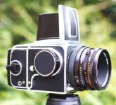 Medium Format Film Mengasah Mata Fotografer, Mengapa Keterlambatan Jadi Keunggulan Tak Terduga! Medium Format Film Mengasah Mata Fotografer, Mengapa Keterlambatan Jadi Keunggulan Tak Terduga!