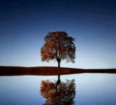 Mencari Lailatul Qadar dengan Ilmu Astronomi, Ketika Sains Tak Bisa Buktikan Keajaiban Malam Terbaik Ramadan