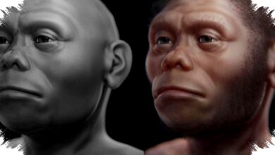 Pegunungan Zagros Terkuak, Jejak Pertemuan Manusia Modern dan Neanderthal