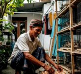 Pensiun Tak Harus Pasrah, 8 Ternak Santai Ini Tetap Mengalirkan Uang di Masa Senja