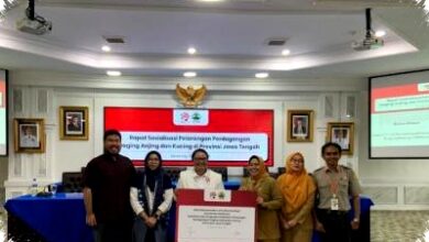 Perdagangan Daging Anjing Di Jateng Masih Berjalan Diam-Diam, Solo Raya Paling Kuat Terpantau