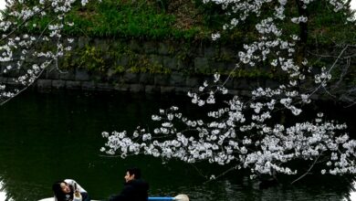 Perfect Japan Di Balik Lensa Gen Z, Ketika Citra Ideal Berhadapan Dengan Realita Sosial