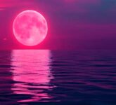 Pink Moon April Mendatang Bisa Dilihat Dari Indonesia, Ini Waktu Terbaiknya