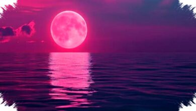 Pink Moon April Mendatang Bisa Dilihat Dari Indonesia, Ini Waktu Terbaiknya