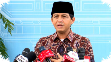 Prabowo Alokasikan Lahan Luas untuk Melindungi dan Konservasi Gajah Sumatra Liar