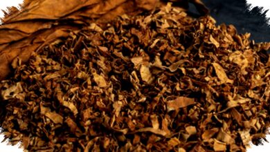 Purbaya Tetapkan DBH CHT 2026 Rp 3,28 Triliun, Jawa Timur Terima Porsi Terbesar