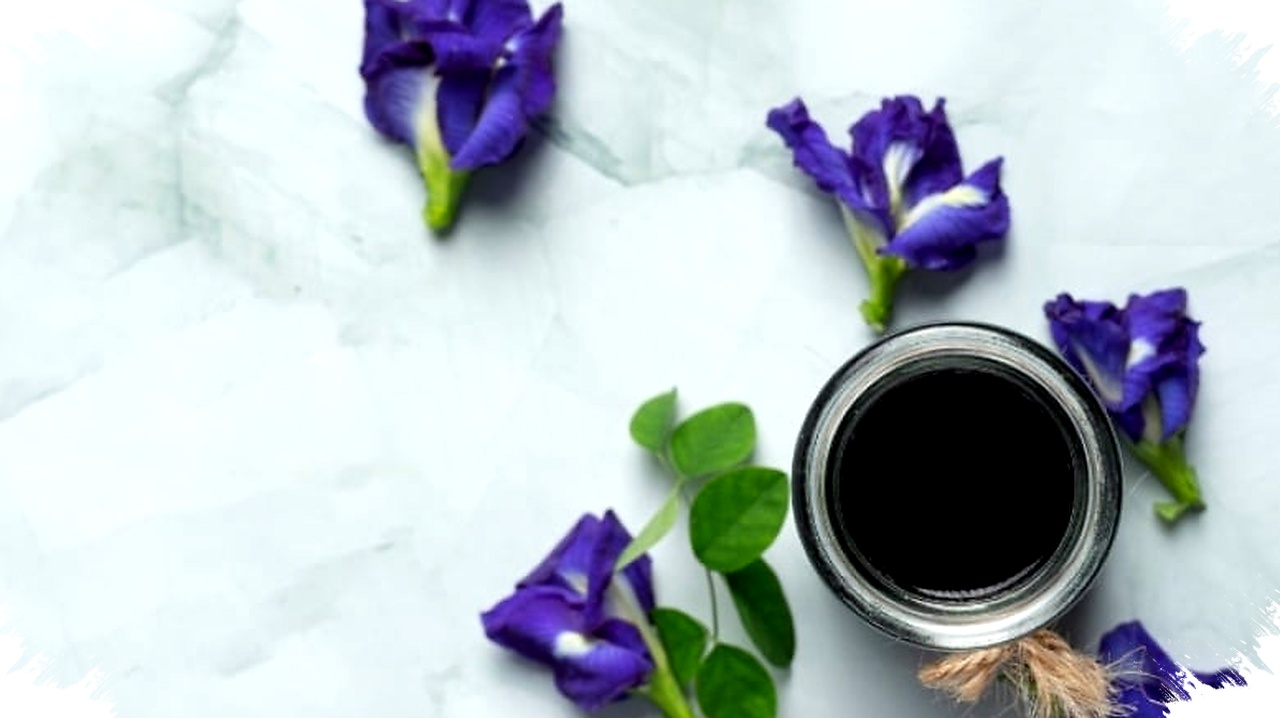 Rahasia Mengolah Bunga Telang Dari Keringkan Sampai Bubuk, Warna Alami dan Khasiat Tersembunyi yang Menggoda! Rahasia Mengolah Bunga Telang Dari Keringkan Sampai Bubuk, Warna Alami dan Khasiat Tersembunyi yang Menggoda!