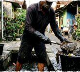 Selokan Kotor Jadi Sarang Tikus Got, Begini Cara Ampuh Bersihkan dan Cegah Bau Tak Sedap dengan Langkah Praktis!