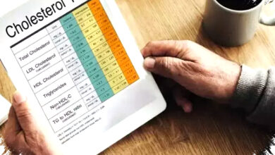 Setelah Pesta Lebaran Usai, 7 Langkah Menahan Kolesterol Agar Tetap Stabil