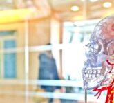 Singapura Tantang Batas Teknologi Komputer, Bangun Otak Biologis yang Hemat Listrik dan Revolusioner