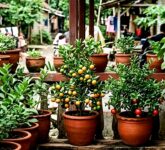 Sulap Teras Sempit Jadi Kebun Sayur dan Buah Mini, Rahasia Produktif Rumah Kampung yang Membuat Semua Terpana!