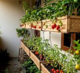 Teras Sempit Jadi Kebun Produktif, 9 Inspirasi Edible Garden Buah Mini yang Mengubah Lahan Terbatas Jadi Surga Segar!