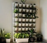 Teras Sempit Tak Lagi Suram, Rak Tanaman PVC Ini Jauh Lebih Hemat dari Rak Jadi