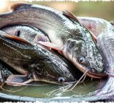 Ternak Ikan Cepat Panen dan Minim Risiko, Ungkap Rahasia Lele dan Nila Terkuat Menaklukkan Pasar Stabil!