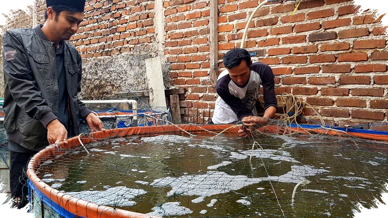 Ternak Masa Tua Bukan Beban Tapi Mesin Uang, 7 Usaha di Desa yang Bikin Orang Tua Gagal Gengsi dan Tetap Kaya!