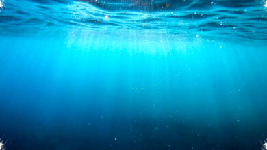 The Bloop Ternyata Bukan Monster Laut, Sinyal Es Antartika Menggema Ribuan Kilometer