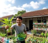 Toples Kue Bekas Ternyata Bisa Jadi Kebun Mini, Panen Kangkung dan Bayam Cuma 2 Minggu