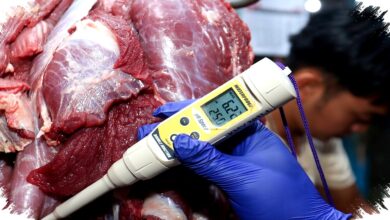 Update Terbaru Harga Daging Sapi di Aceh Barat Tembus Rp170 Ribu per Kg, Cek Detailnya!