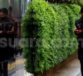 WFA Lebaran 2026 Kapan Berlaku? Ini Tanggal Resmi untuk Pekerja Swasta Menurut Kemnaker