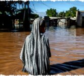 Warming El Nino Diprediksi Kembali Tahun Ini Mengancam Cuaca Ekstrem, Apa Dampaknya Pada Hidup Kita? Warming El Nino Diprediksi Kembali Tahun Ini Mengancam Cuaca Ekstrem, Apa Dampaknya Pada Hidup Kita?