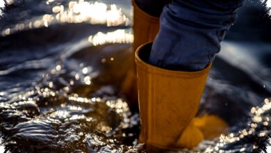 Waspada Banjir Saat Lebaran, Ini 6 Cara Efektif Melindungi Diri dan Keluarga Anda