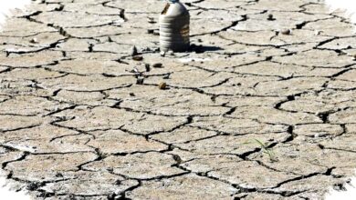 Waspada Godzilla El Nino 2026, Ancaman Kekeringan Parah dan Stok Air Menipis di Indonesia