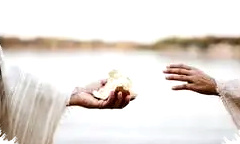 Xiaomi Tebar Diskon Lebaran 2026, Bonus Smartwatch Mengincar Pemburu Gadget Baru Xiaomi Tebar Diskon Lebaran 2026, Bonus Smartwatch Mengincar Pemburu Gadget Baru