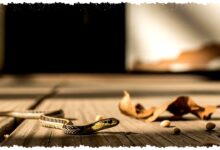 10 Tanaman Pengusir Ular Ini Bukan Mitos, Aroma Tajamnya Bisa Membuat Reptil Menjauh