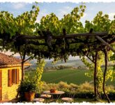 10 Tanaman Rambat Buah Ini Bukan Sekadar Peneduh, Halaman Minimalis Bisa Panen Sekaligus