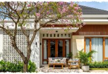 12 Pohon Ini Menyelamatkan Sudut Halaman yang Kosong, Estetik Tanpa Mengancam Rumah