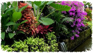 12 Tanaman Pinggir Selokan yang Tak Sekadar Cantik, Bisa Bantu Redam Bau dan Erosi 12 Tanaman Pinggir Selokan yang Tak Sekadar Cantik, Bisa Bantu Redam Bau dan Erosi