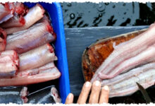 17 Ide Usaha di Kampung untuk Pemula, Modal Kecil yang Bisa Jalan dari Rumah