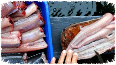 17 Ide Usaha di Kampung untuk Pemula, Modal Kecil yang Bisa Jalan dari Rumah 17 Ide Usaha di Kampung untuk Pemula, Modal Kecil yang Bisa Jalan dari Rumah