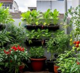 18 Sayur Hias Mini Ini Menampar Mitos Lahan Sempit, Rumah Cantik Sekaligus Panen Segar 18 Sayur Hias Mini Ini Menampar Mitos Lahan Sempit, Rumah Cantik Sekaligus Panen Segar