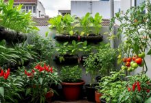 18 Sayur Hias Mini Ini Menampar Mitos Lahan Sempit, Rumah Cantik Sekaligus Panen Segar