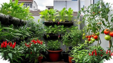 18 Sayur Hias Mini Ini Menampar Mitos Lahan Sempit, Rumah Cantik Sekaligus Panen Segar
