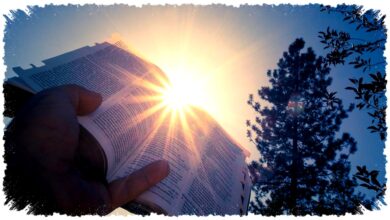 34 Ayat Alkitab Tentang Paskah, Saat Kebangkitan Menaklukkan Maut dan Mengubah Iman 34 Ayat Alkitab Tentang Paskah, Saat Kebangkitan Menaklukkan Maut dan Mengubah Iman