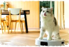 5 Kesalahan Robot Vacuum Ini Bikin Performa Anjlok, Tanpa Disadari Anda Sendiri Yang Merusaknya 5 Kesalahan Robot Vacuum Ini Bikin Performa Anjlok, Tanpa Disadari Anda Sendiri Yang Merusaknya