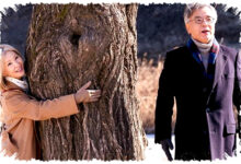 5 Kesulitan Nana Kim di In Your Radiant Season, Hidupnya Penuh Beban dan Tak Mudah 5 Kesulitan Nana Kim di In Your Radiant Season, Hidupnya Penuh Beban dan Tak Mudah