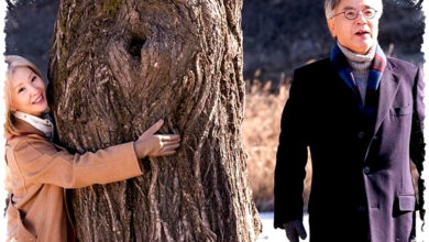 5 Kesulitan Nana Kim di In Your Radiant Season, Hidupnya Penuh Beban dan Tak Mudah 5 Kesulitan Nana Kim di In Your Radiant Season, Hidupnya Penuh Beban dan Tak Mudah