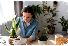 5 Manfaat Tanaman Indoor Bagi Ketenangan Jiwa, Jeda Kecil yang Menenangkan Pikiran 5 Manfaat Tanaman Indoor Bagi Ketenangan Jiwa, Jeda Kecil yang Menenangkan Pikiran