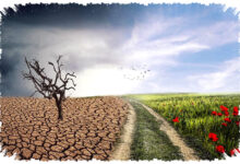 5 Tanda Perubahan Iklim Sudah Terjadi, Bumi Makin Panas Dan Tak Stabil