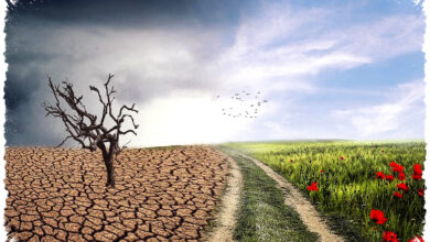 5 Tanda Perubahan Iklim Sudah Terjadi, Bumi Makin Panas Dan Tak Stabil