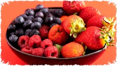 6 Buah Penjaga Ginjal yang Kerap Diremehkan, Rendah Kalium dan Bisa Lawan Batu Ginjal 6 Buah Penjaga Ginjal yang Kerap Diremehkan, Rendah Kalium dan Bisa Lawan Batu Ginjal