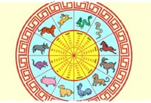 6 Shio Paling Hoki 3 April 2026, Besok Momentum Uang dan Peluang Datang Sekaligus?