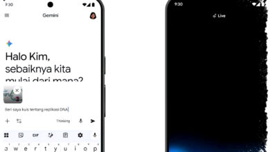 7 Cara Menghindari Jawaban Bias Dari Gemini AI, Sebelum Salah Paham Dengan Informasi