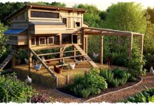 7 Desain Kandang Ayam Dekat Kebun, Hemat Pupuk Tapi Kotorannya Tak Boleh Asal Dipakai