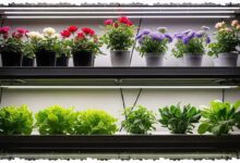 7 Konsep Hidroponik Campur Tanaman Hias, Lahan Sempit Pun Bisa Tampak Mewah dan Panen