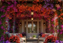 7 Model Teras Rambat Ala Secret Garden, Rumah Langsung Lebih Romantis dan Privasi Kian Rapat